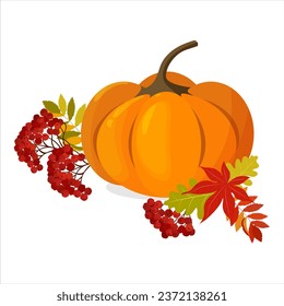 Herbstkomposition von Kürbis und Rowan auf isoliertem Hintergrund. Vektorgrafik. Perfekte Grafik für Thanksgiving-Tag, Halloween, Grußkarten, Poster und mehr.