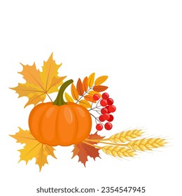 Autumn composition. Pumpkin, spikelets of wheat, rowan branch, maple leaves. Color vector illustration.