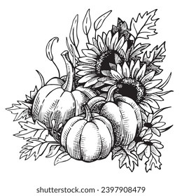 autumn composition of pumpkins and sunflower flowers for Thanksgiving, line art in sketch style, engraving. vector black and white illustration