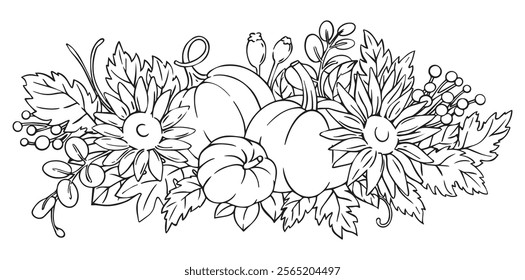 autumn composition of pumpkins and sunflowers in sketch style. Thanksgiving decoration, coloring book