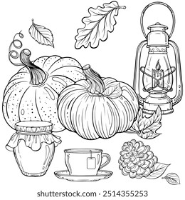 Autumn composition with pumpkins, vintage lantern, jam jar and cup of tea. Cozy autumn decor. Vector illustration in hand drawn sketch style. Line art isolated on white for coloring book, print