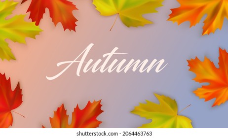 Autumn composition of realistic color fall maple leaves. Vector illustration