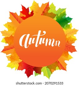 Autumn composition With Speech Bubble And Text With Gradient Background, Vector Illustration With Gradient Background, Vector Illustration