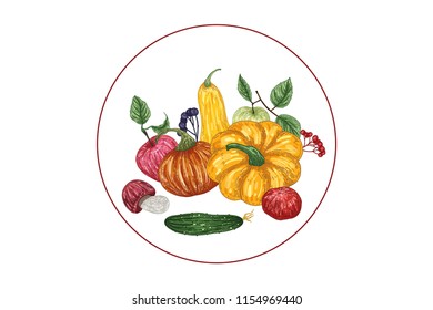 Autumn composition with vegetable pumpkin, apple, cucumber, mushroom, aronia and tomat in color. Vector hand drawn illustration.