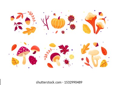 Autumn compositions of leaves, mushrooms, twigs, beetles and seeds. Autumn labels design, sticker set, graphic element for logo. Hand drawn fall season elements: various mushrooms, berries, pumpkin. 