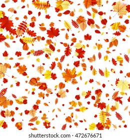 Autumn Concept Background. Card with leaves. EPS 10 vector file included