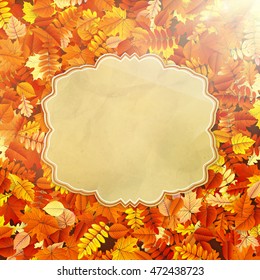 Autumn Concept Background. Vintage card with leaves. EPS 10 vector file included