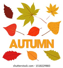 Autumn concept, banner vector graphic with fallen leaves. Yellow and red colors.