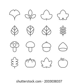 Herbstkonzept-Icon-Set. Ahornblätter, Ginkgussblätter, gefallene Blätter, Pilze, Kürbisse, Äpfel, Kastanien.