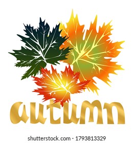 Autumn concept. Inscription. Season name. Graphic drawing of autumn leaves. Indian summer. Golden autumn. A great time of the year.