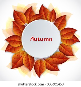 Autumn Concept. Mockup Templates: blank letterhead with space for your text. Vector Elements of design on an isolated backdrop with autumn leaves