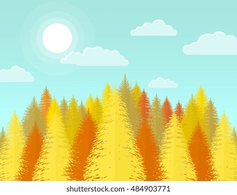 Autumn coniferous pine forest. Nature landscape with yellow tree