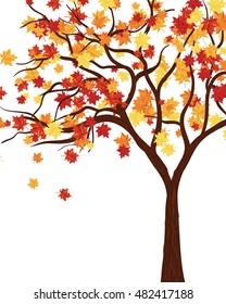 Autumn copy-space frame with maple leaves