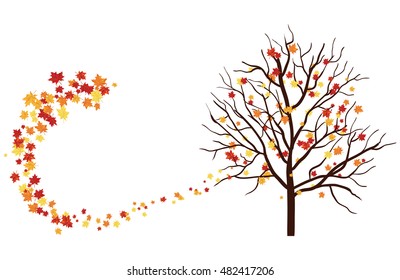 Autumn copy-space frame with maple leaves