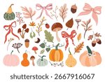 Autumn coquette elements collection with pumpkins, bows, mushroom and specific autumnal vegetation, vector isolated on white background
