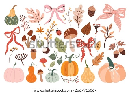 Autumn coquette elements collection with pumpkins, bows, mushroom and specific autumnal vegetation, vector isolated on white background
