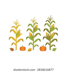Autumn corn stalks and pumpkins. Harvest season farm elements with fall leaves.