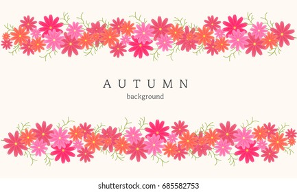 Autumn cosmos illustration