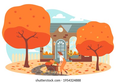 Autumn country, farm day, field floral, fox maple mid autumn, natural nature outdoors, design, flat style vector illustration.