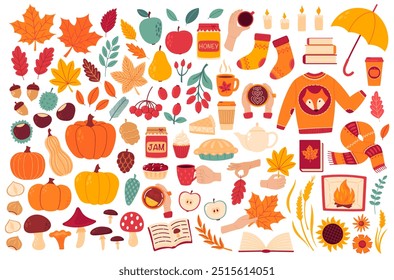 Autumn cozy design elements. Set of fall leaves, foliage, berries, apples, pumpkins, mushrooms, knitted socks, sweater, scarf, books, home bakery, coffee and tea cup. Flat Vector illustration isolated