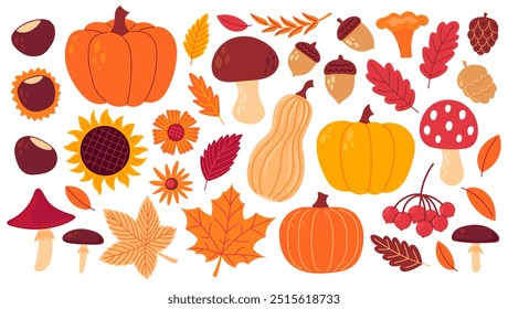 Autumn cozy design elements. Set of fall leaves, foliage, flowers, chestnut, acorn, berries, apples, pumpkins, mushrooms. Flat Vector illustration isolated on white background