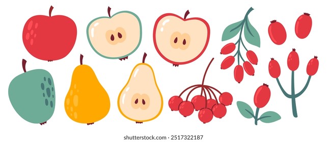 Elementos de diseño acogedores de otoño. Conjunto de bayas de otoño, serbal, rosa mosqueta, manzana, pera. Ilustración vectorial plana aislada sobre fondo blanco
