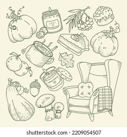 Autumn cozy doodle set. Engraving pumpkin, acorn, leaf, mushroom, apple, armchair, candle, berry, pie, tea  vector elements. 
