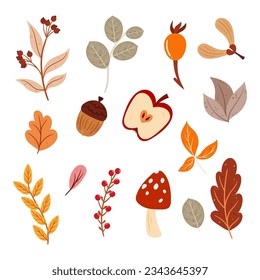 Autumn Cozy Elements Set Includes Warm Colors, Falling Leaves, Acorn, And Apple with Mushroom, Tree Branches and Rosehip, For Creating Seasonal Designs And Decorations. Cartoon Vector Illustration