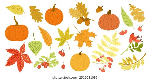 Autumn cozy hand drawn set with pumpkins, leaves and berries in colorful flat style. Simple doodle botanical stickers isolated on white background