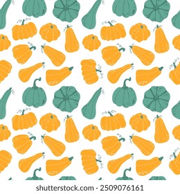 Autumn cozy seamless pattern with pumpkins. Harvest ornament vector illustration. Pumpkin seamless pattern, hand drawing green and orange pumpkin on white color background. Halloween Thanksgiving holi