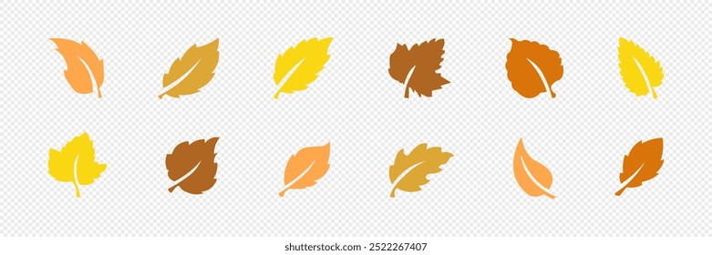Autumn, cozy set  of leaves. Vector illustration.