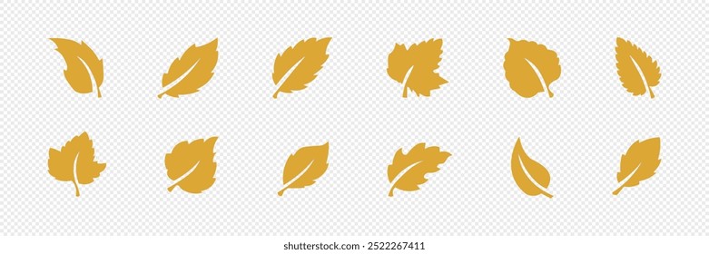 Autumn, cozy set  of leaves. Vector illustration.