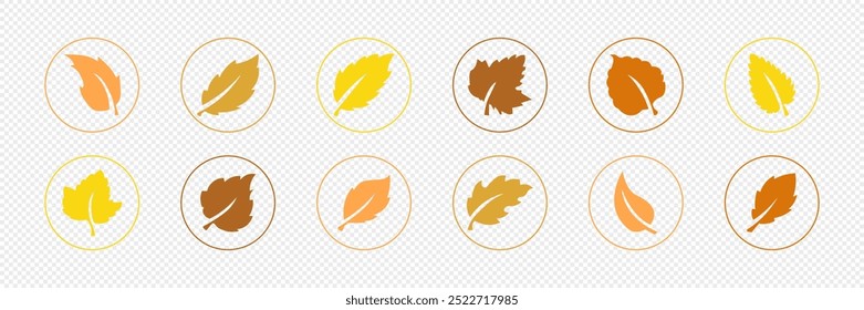 Autumn, cozy set  of leaves. Vector illustration.