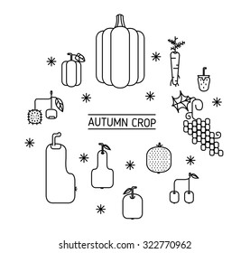 Autumn crop line icon
