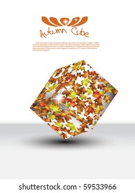 Autumn cube background concept.Vector illustration.