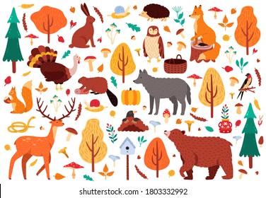 Autumn cute animals. Wild hand drawn bear raccoon fox and deer characters, woodland birds and animals isolated vector illustration icons set. Woodland bird and bear, autumn deer and forest fox