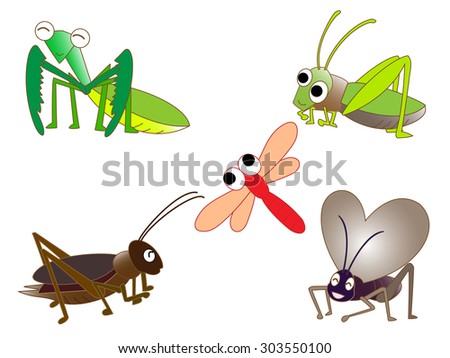 Autumn cute insects