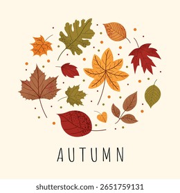 Autumn cute leaves collection. Colorful fall foliage of different trees. Simple seasonal illustration with oak, maple, chestnut leaves. Vector autumn design on isolated background.
