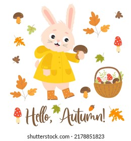 Autumn cute rabbit in raincoat and rubber boots picks mushrooms. Wicker basket with mushrooms and falling autumn leaves. Vector illustration. Isolated elements. Bunny character for fall design.