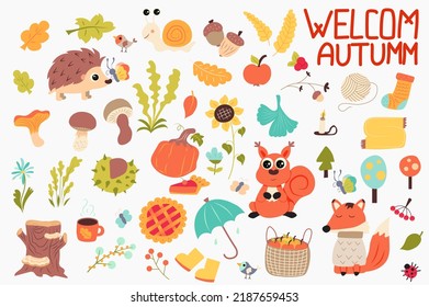 Autumn cute set in flat cartoon design. Bundle of leaves, hedgehog, snail, acorn, apple, berry, socks, scarf, sunflower, pumpkin, mushroom, flowers and other. Vector illustration isolated elements