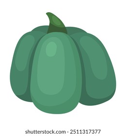 Autumn dark greeen pumpkin. October, fall, harvest time. Autumn vegetable. Vector illustration isolated on white. 
