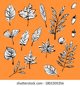 Ilustración/material vectorial de hojas muertas de otoño o material de patrón