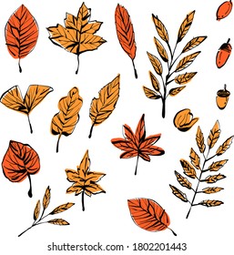 Autumn dead leaves illustration/vector material or pattern material