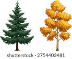 Autumn deciduous tree with yellow leaves, evergreen pine tree, seasonal contrast, colorful foliage, forest landscape, nature diversity, fall season, scenic beauty