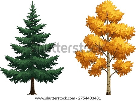 Autumn deciduous tree with yellow leaves, evergreen pine tree, seasonal contrast, colorful foliage, forest landscape, nature diversity, fall season, scenic beauty