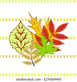 autumn deciduous autumn vector background