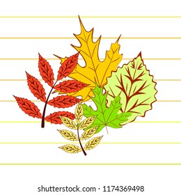autumn deciduous autumn vector background