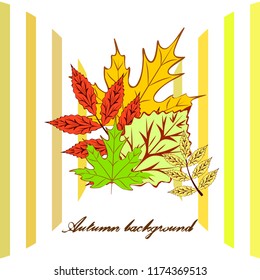 autumn deciduous autumn vector background