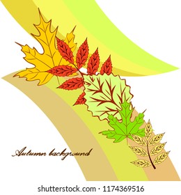 autumn deciduous autumn vector background