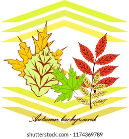 autumn deciduous autumn vector background
